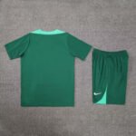 2024/2025 Portugal Training Wear Green Suit Shirt-NO.11 Ball
