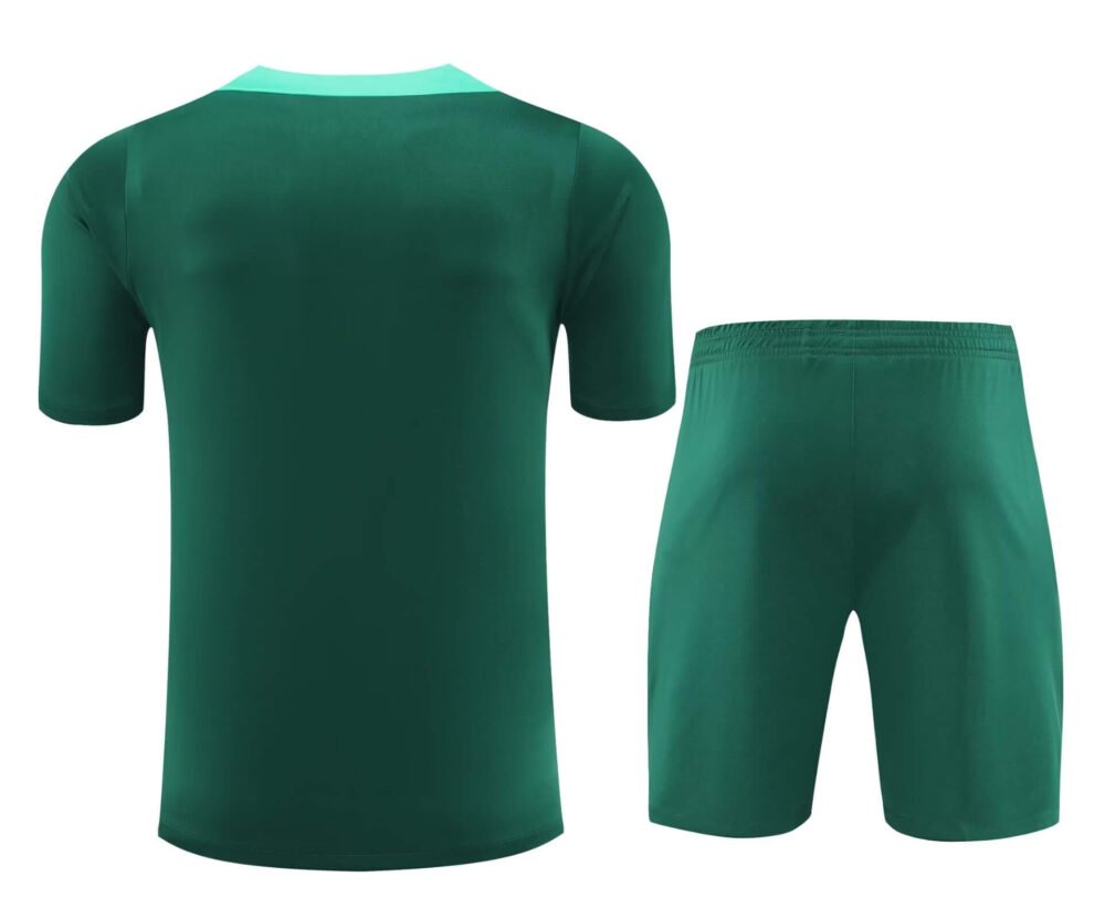 2024/2025 Portugal Training Wear Green Suit Shirt-NO.11 Ball