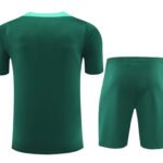 2024/2025 Portugal Training Wear Green Suit Shirt-NO.11 Ball