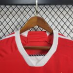 2024/2025 Colo Colo Third Away Football Shirt-NO.11 Ball