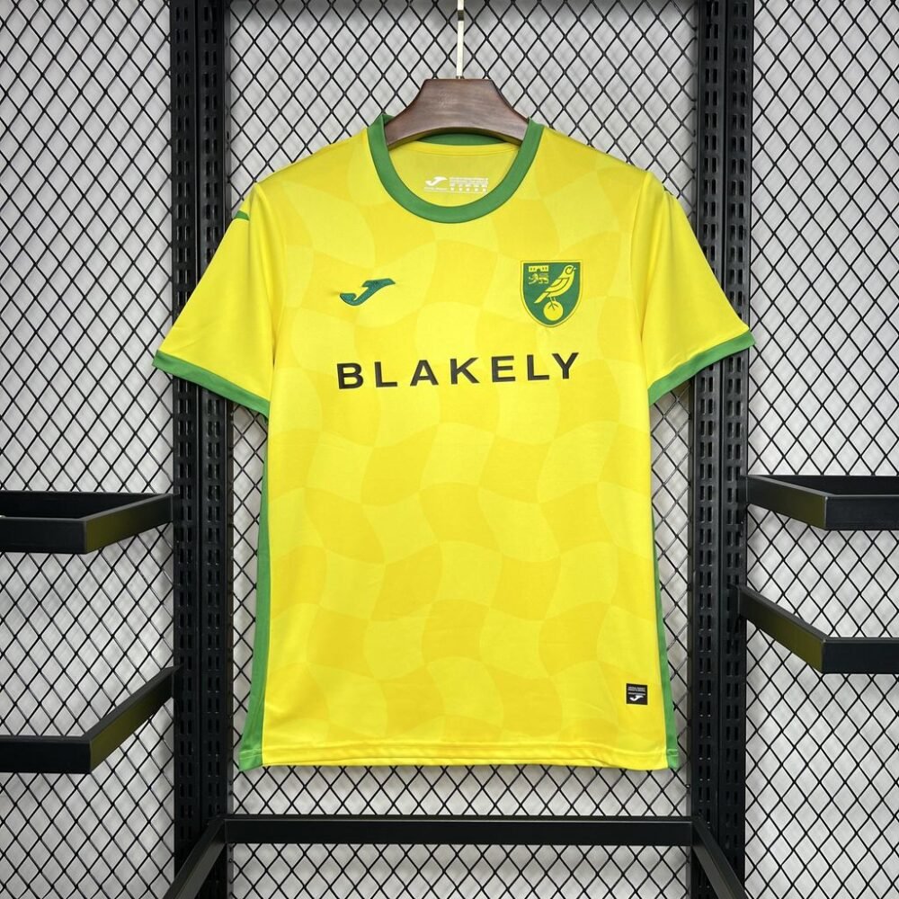2024/2025 Norwich City Home Football Shirt-NO.11 Ball