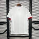 2024/2025 Paris Saint-Germain Away Football Shirt-NO.11 Ball