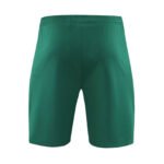 2024/2025 Portugal Training Wear Green Suit Shirt-NO.11 Ball