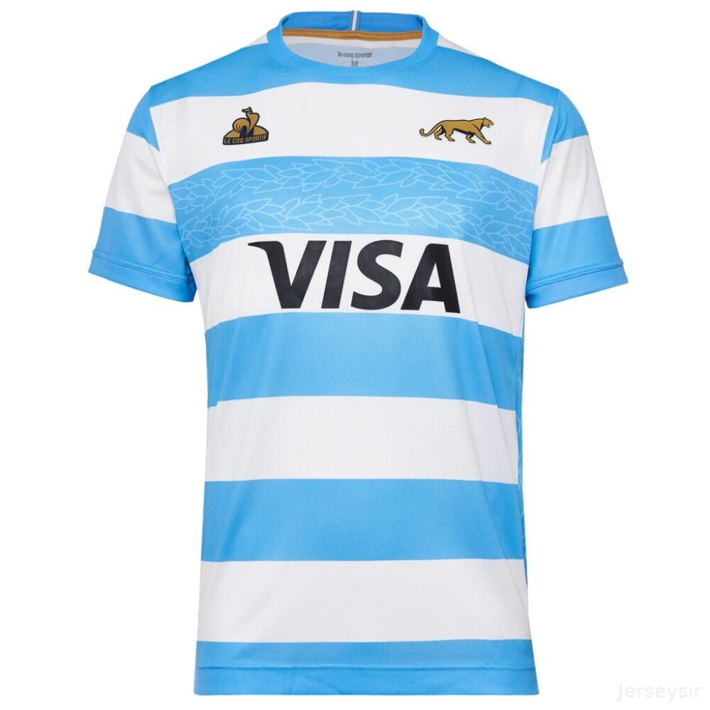 2024/2025 Argentina Rugby home shirt